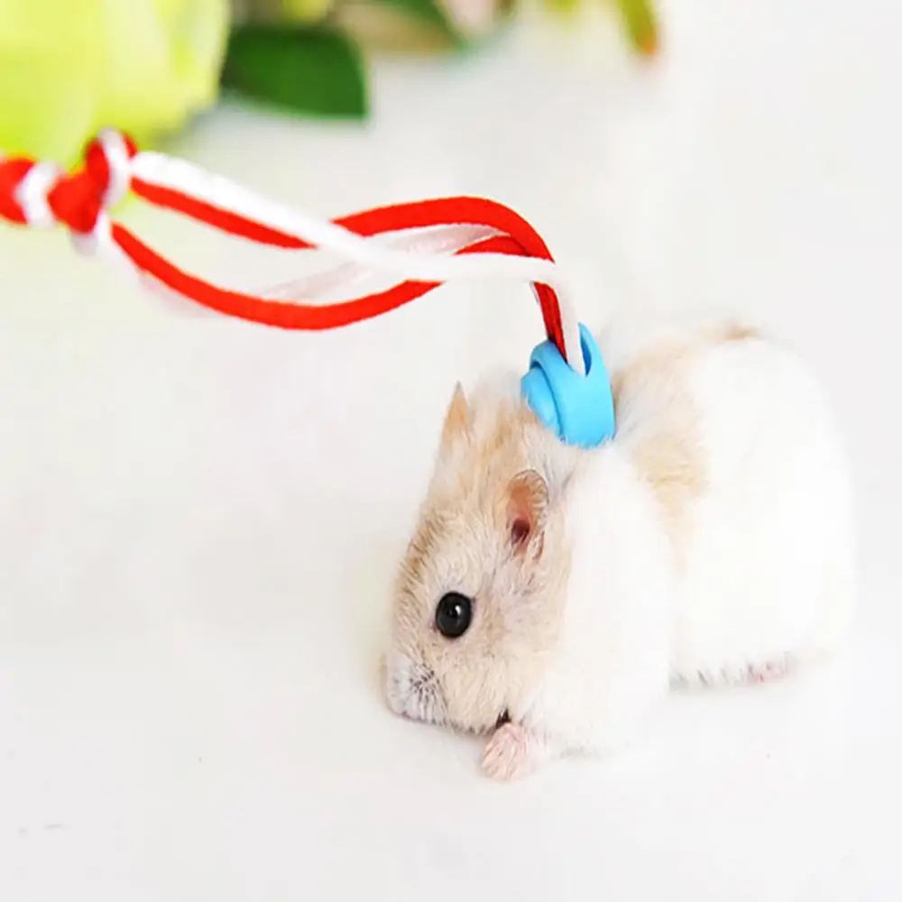 Pet Leash Traction Rope 1.4/2m For Small Pets