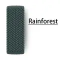 Rainforest Green