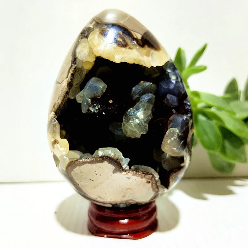Geoda-de-huevo-septario-Natural-cristales-minerales-de-racimo-piedras-y ...