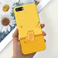 Case-c24