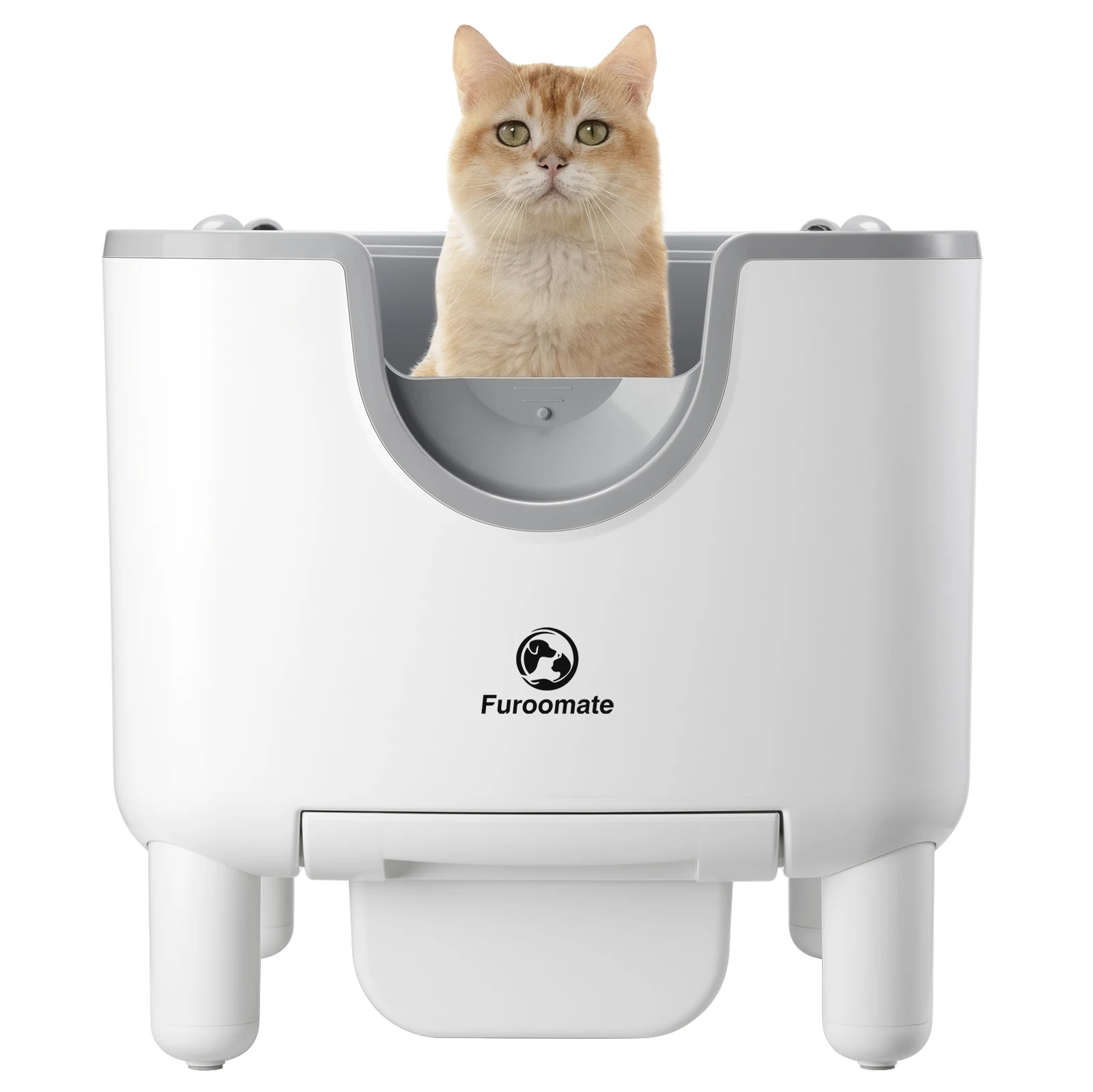 Open-Top Litter Box 1