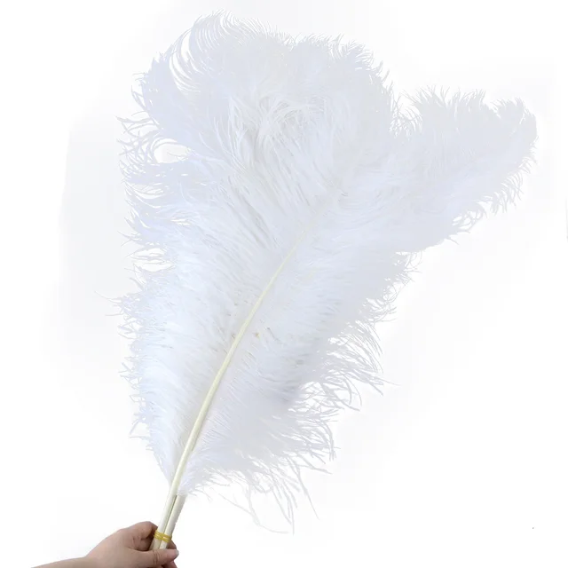 Wholasale Elegant White Ostrich Feathers for Crafts 15-75cm Wedding Party  Supplies Carnival Dancer Decoration plumas Plumages - Price history &  Review, AliExpress Seller - WyFeay Featers Lace Store