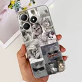 Case-c48