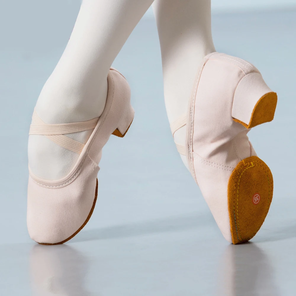 

Professional Camel Black Adult Ballet Modern Latin Jazziness Dance Low Heels 3cm Soft Sole Breathable Ballet Shoes Wholesale