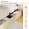 Rattan Queen Size Bed Frame with Wooden Headboard and 4 Storage Drawers, Platform Bed, No Box Spring Needed 4