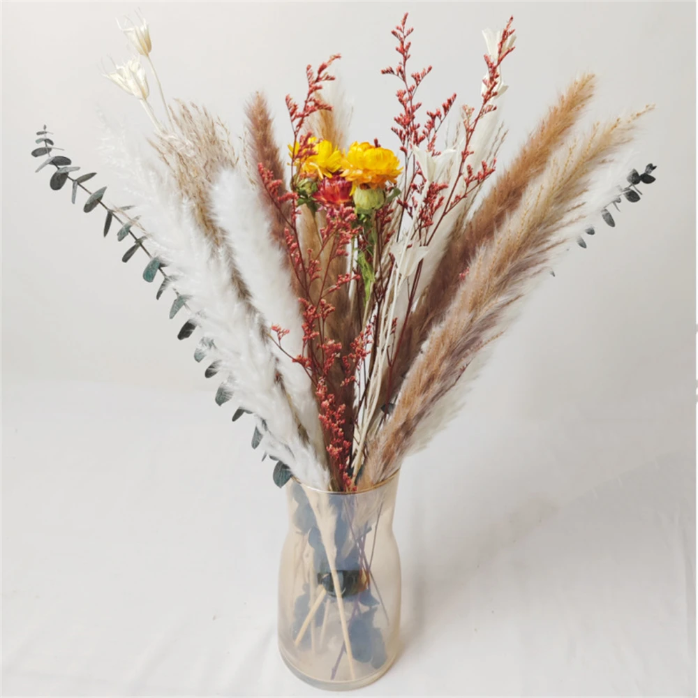 

Pampas Grass Home Decoration DriedFlower Wall Bedrooms Living Room Wedding Supplies Plants Centerpiece Fall Decor Autumn Knows