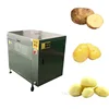 Brush Roller Carrot Cassava Cleaning Fruit Vegetable Washing Machine Washer Electric Ginger Potato Washing And Peeling Machine 5