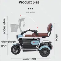 Scooter électrique tendance pour 2 personnes avec cage pour animaux/handcuffs pliables, tricycle électrique compact 600W pour famille, adultes, femmes, personnes âgées 3