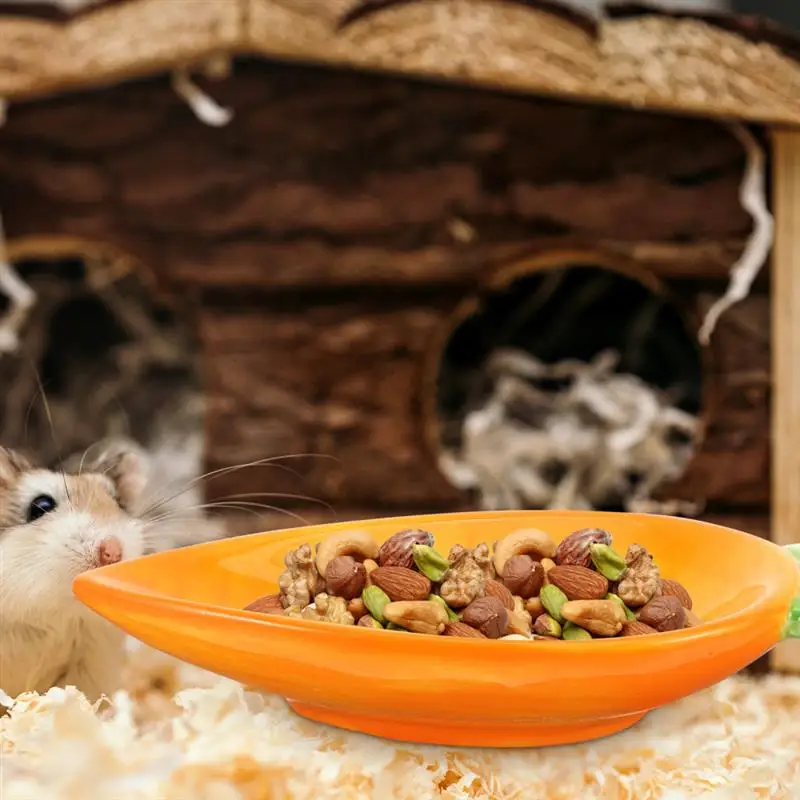 Title 10, 1pc Bunny Feeder Hamster Food Plate Cat Tray Sm...
