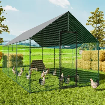 Heavy Duty Chicken Coop 1