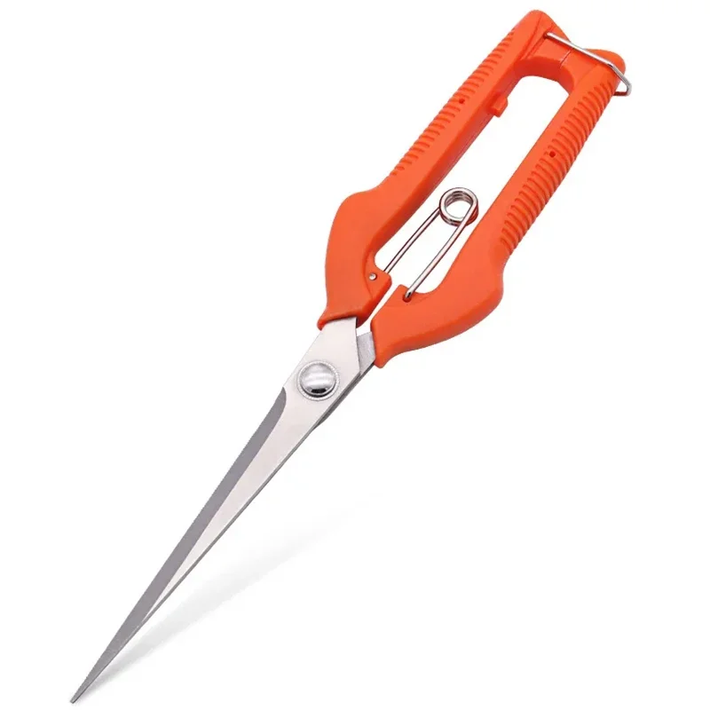 Tijeras para uvas, tijeras de podar, herramienta de jardín, parche para verduras, bonsái, carpintería profesional, recogida de frutas de acero inoxidable con cerradura