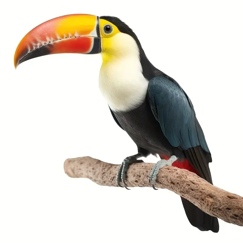 Creative Cartoon Wall Sticker Parrot，Window Sticker For Bedroom, Living Room, Glass Door And Window, Home Decoration