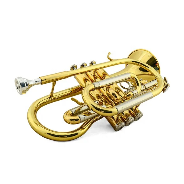 Bb Key Gold Cornet For Sale JYCT407