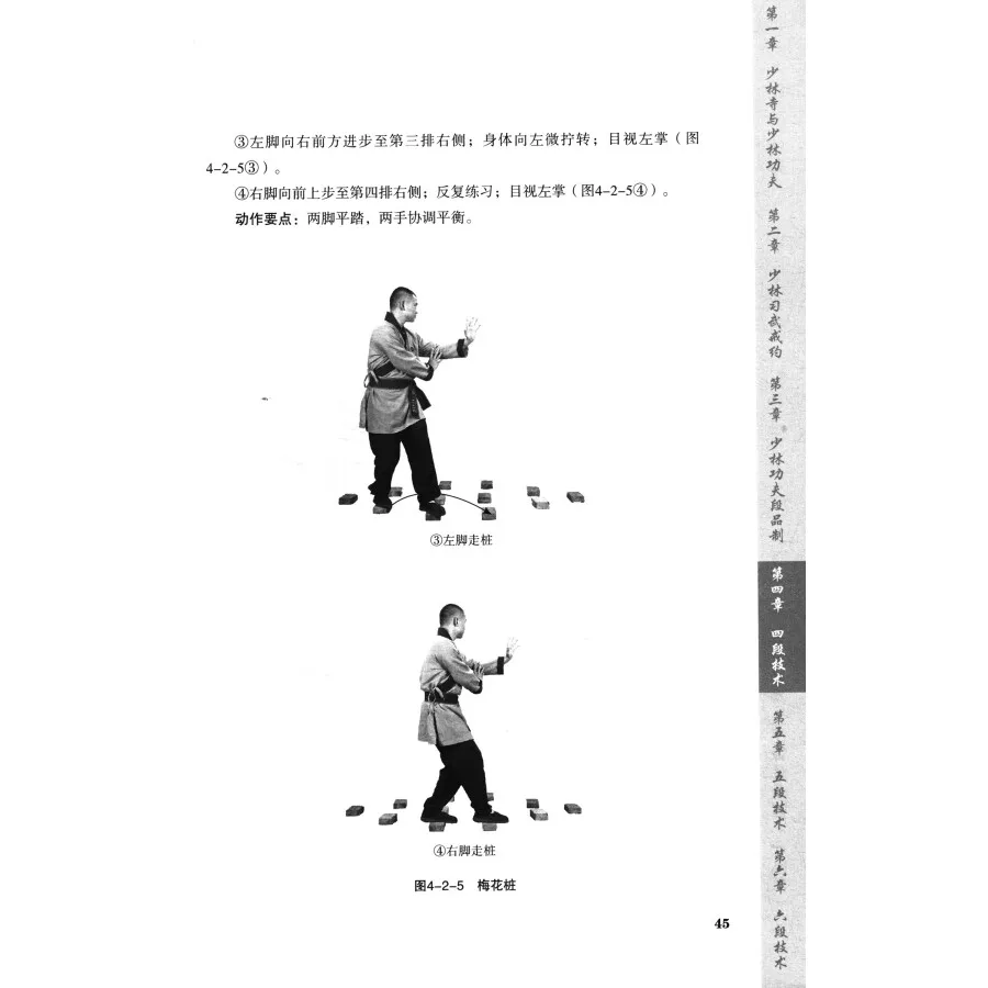 Martial Arts Shaolin Kung Fu Book Wu shu Tutorial in Chinese by Shi Yongxin