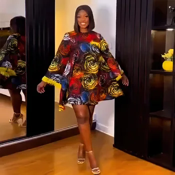 Ebere Long Sleeve Tassel Mini Print Dress