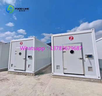 Cabina Intelligente Personalizzata per la Coltivazione di Funghi - Box per Funghi Ostrica e Bianchi - Attrezzatura Agricola Multifunzionale ad Alta Efficienza