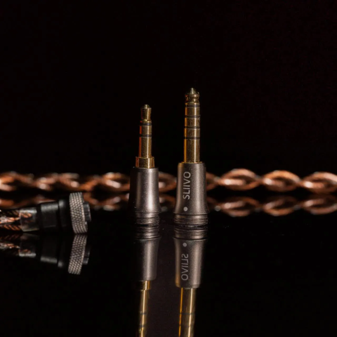 Sd2f8b42761df4841ab67ba56db3f7