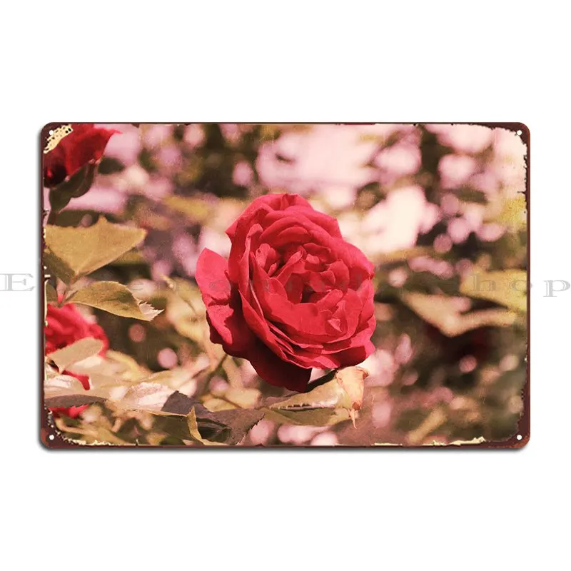 

Summerrose Metal Sign Pub Retro Club Character Customize Tin Sign Poster