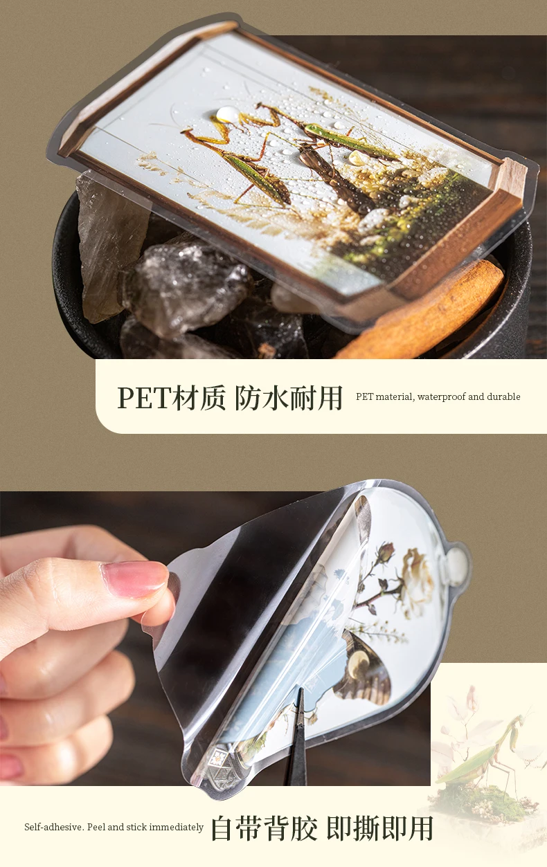 30 Stück große PET-Aufkleberbeutel mit Insekten- und Ökologie-Motiven für DIY-Scrapbooks, Handbücher und ästhetische Schreibwaren. – Detail 10