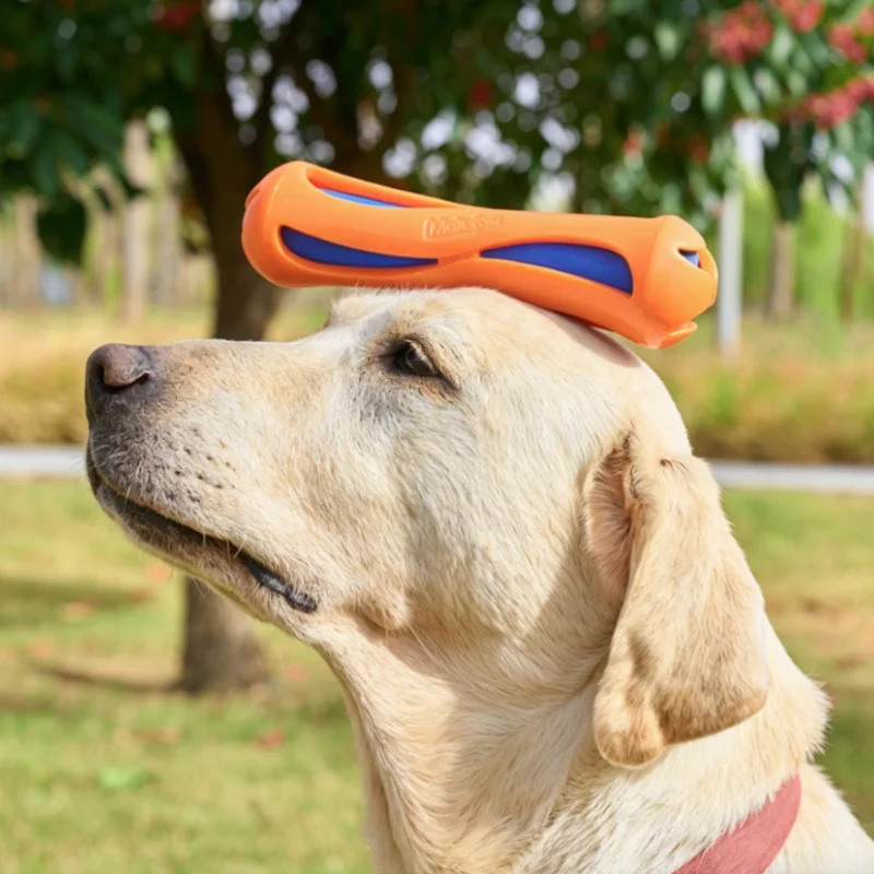 Floating Interactive Dog Water Toy Bite Resistant Aquatic Stick_voghion.com