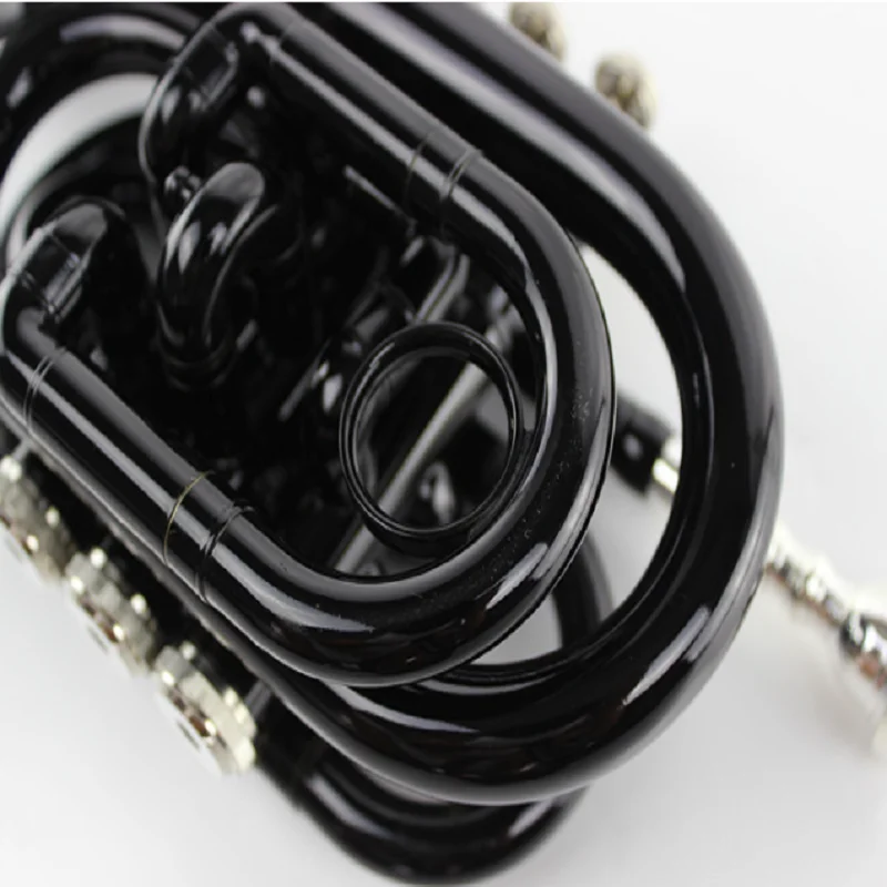 Beginner Western Wind Instrument, B Flat Pocket, Black Palm Instrument