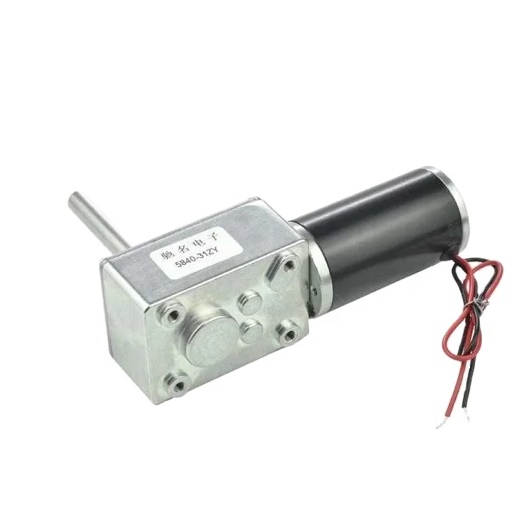 

Worm Gear Motor DC 12 24V High Torque With Reversed Self-Lock D Shape 51MM Extension Shaft Motor For Home Equipment