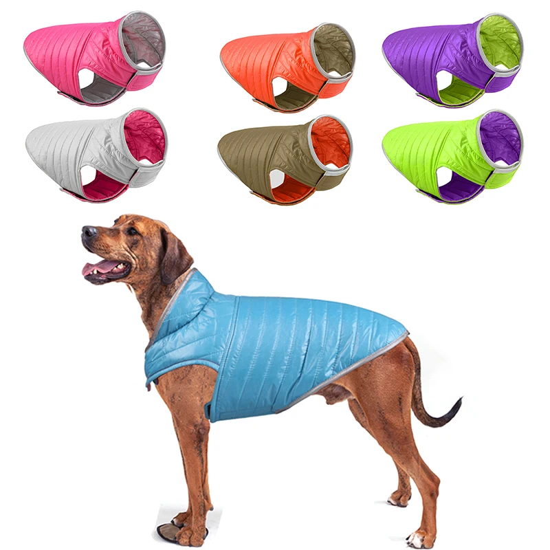 Dog Clothing & Shoes