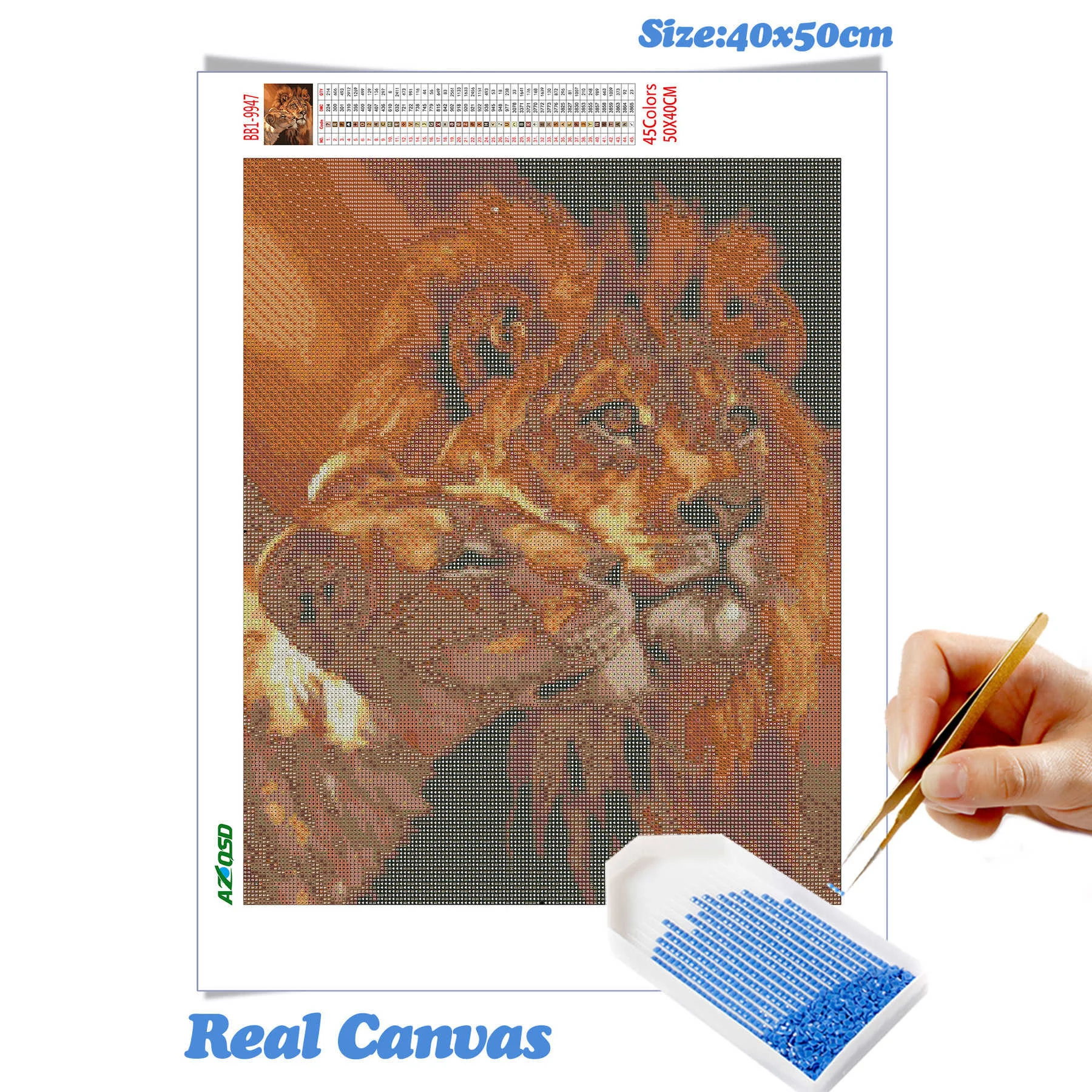 BB1-9947.jpg_.webp BB1-9947.jpg_.webp