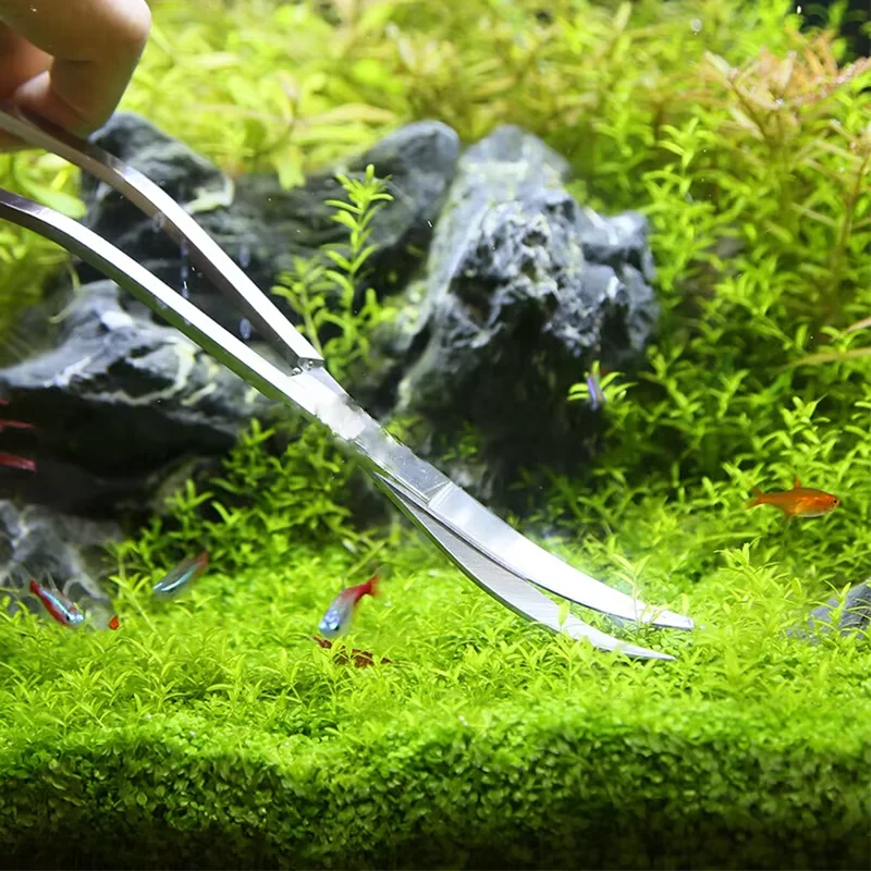 Aquarium Cleaning Tools Scissor Tweezer Plants Wave Scissors Grass Stainless Storage Holder Aquarium Accessories