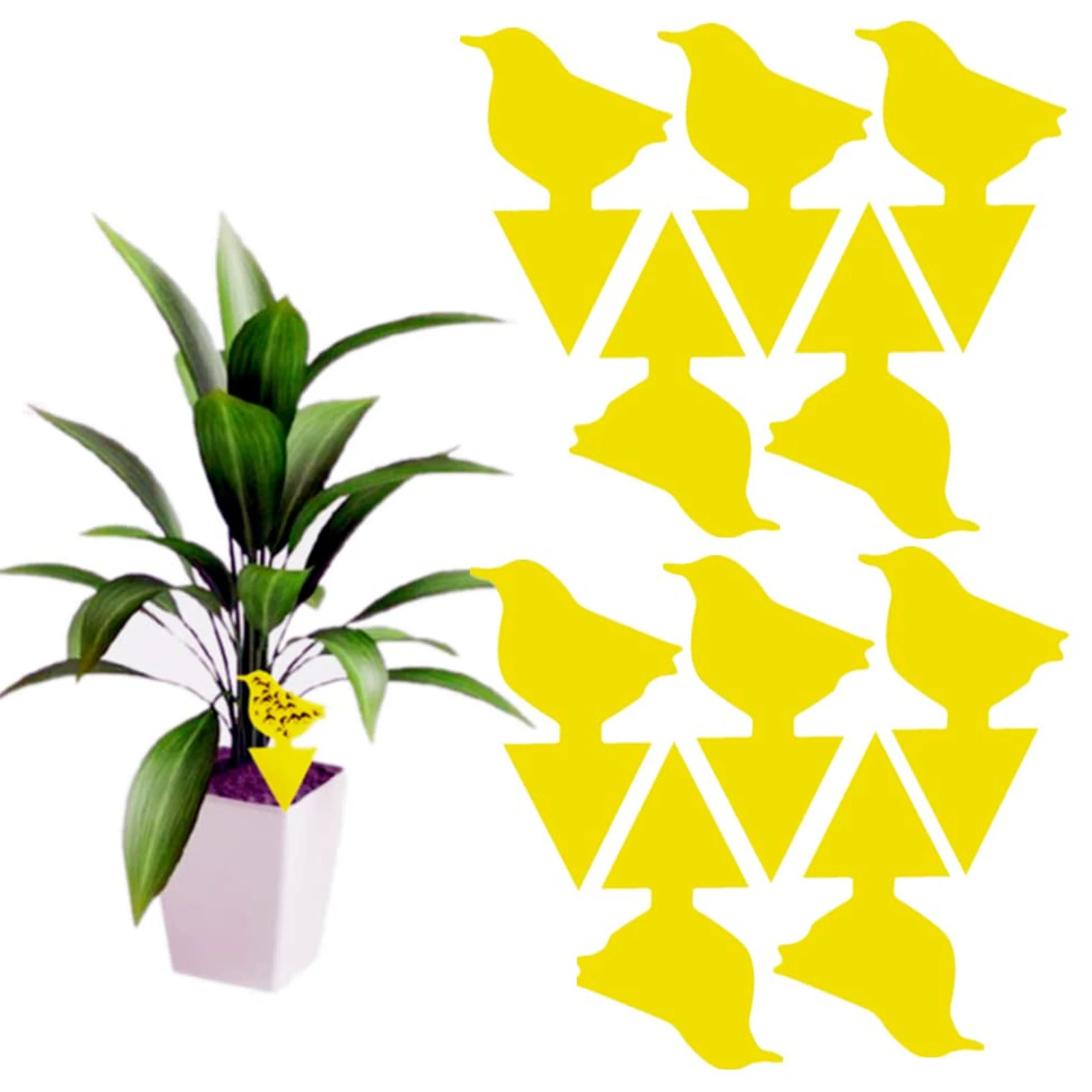 10Pcs Trappole Per Mosche Forti Mosche Per Insetti Trappole Appiccicose Fungo Gnat Killer Zanzare Fly Catcher Piante Protezione Dei Fiori Controllo De