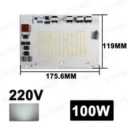 Super Bright LED Light Panel - Indoor & Outdoor Lighting Accessory - 220V Driver - Free (100W - White light)
