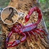Remote Control Toy Realistic Scorpion Model Rc Animal High Simulation Fake Scorpion Prank Infrared Electric Toys Present Gifts A 4