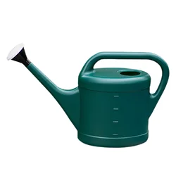 Elegant Farmhouse Long Spout Watering Can with Sprinkler Head (8L 55x17x31cm)