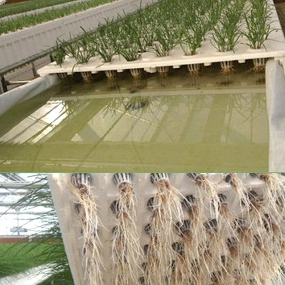 

50 Pcs Hydroponic Colonization Mesh Pot Net Cup Basket Hydroponic Aeroponic Planting Grow Clone Nursery Plant Soilless