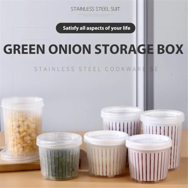 Plastic Spice Storage Box With Lid Seasoning Cereals Food Container Kitchen  Fridge Organizer Bins Onion Ginger Clear Crisper - AliExpress