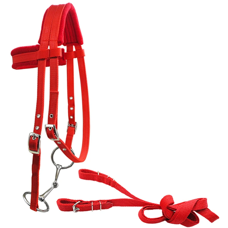 Accessories Horseback Riding Equipment Gear Saddle Horse Riding