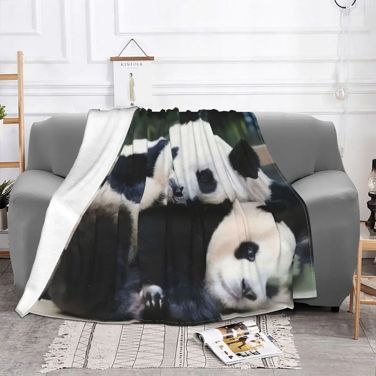 Fubao �Ǵ� Ǫ �ٿ� ���� ���̹ٿ� ���, �����ϰ� �ƴ��� �ʸ� ���� �ö��� ķ�� ���, ���Ÿ� ħ�� Ȩ ����