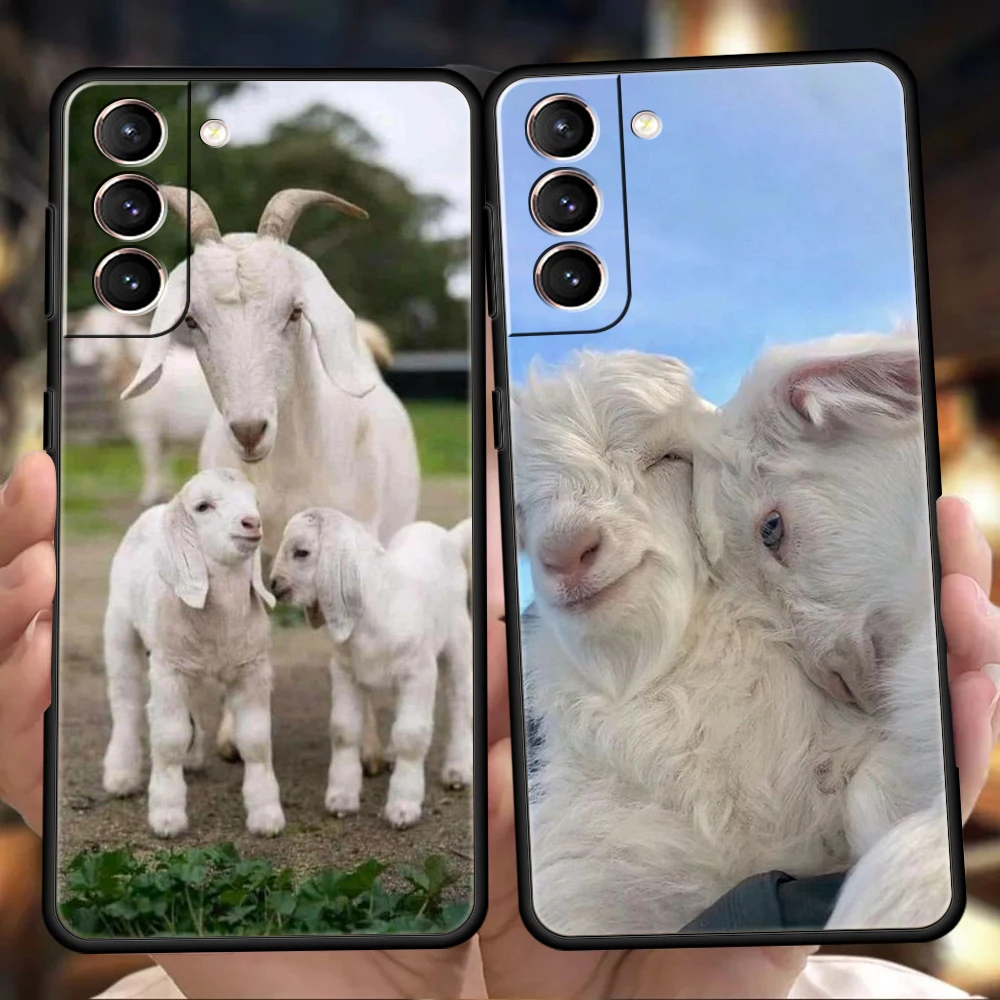 Cartoon Cute Goat Soft Phone Case Cover