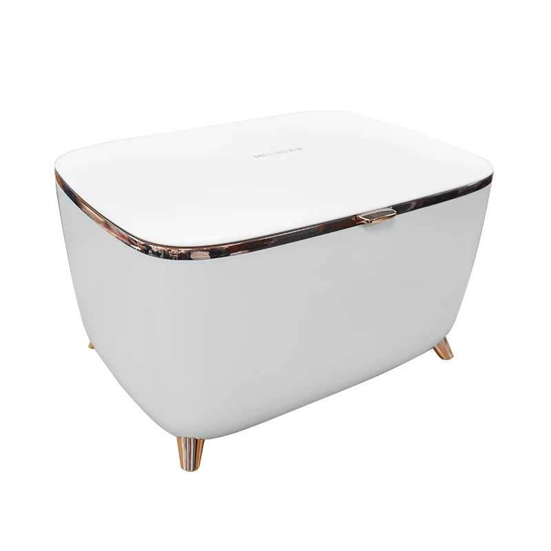 Mini Makeup Fridge with Constant Temperature, Portable Cosmetic Fridge for Skincare, Beauty refrigerator for Bedroom