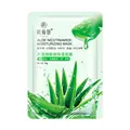 12pcs Aloe