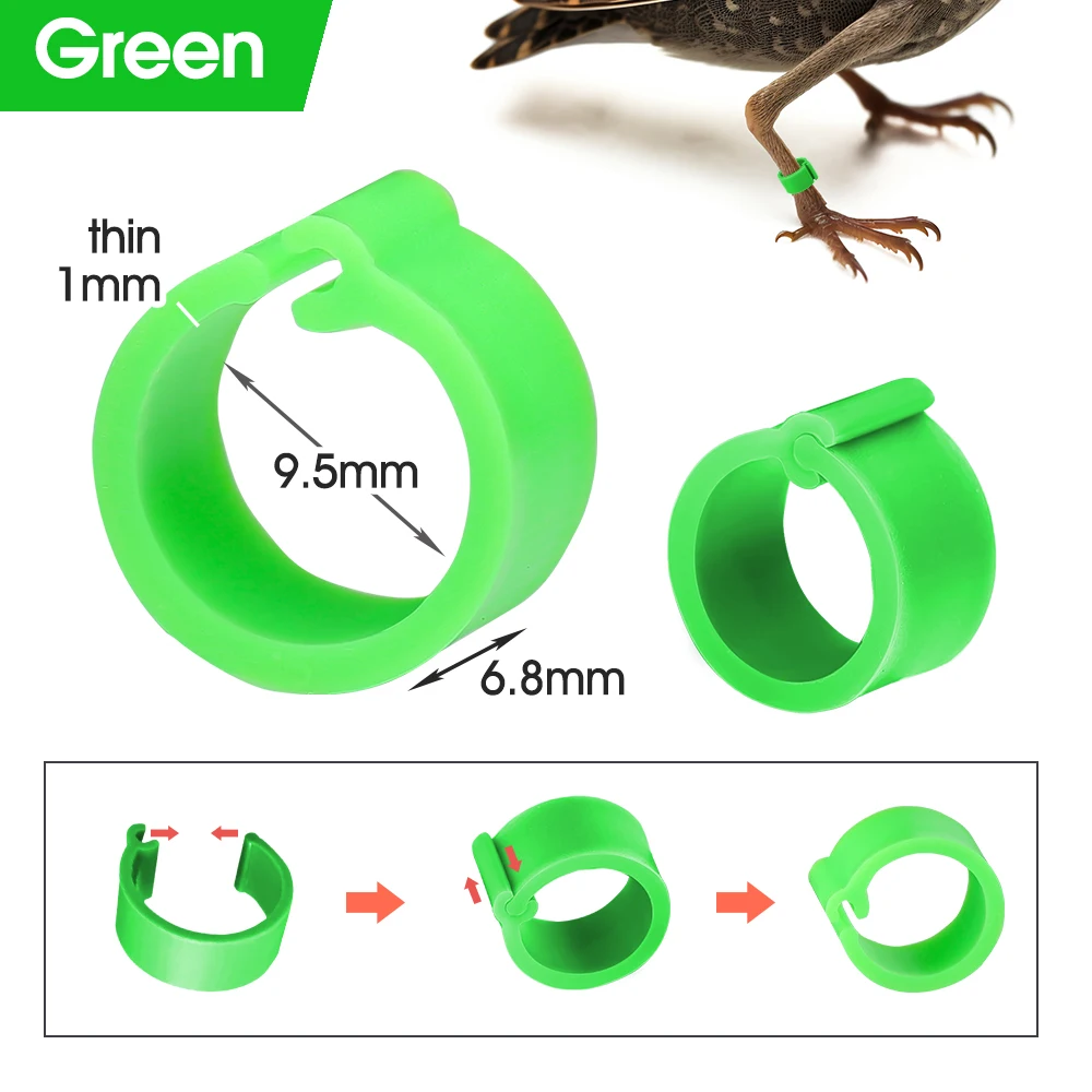 EIHI 100 Anelli Per Zampe Uccelli - 8mm, 10 Colori Misti Per Piccioni, Pappagalli E Pollame - Foto 13