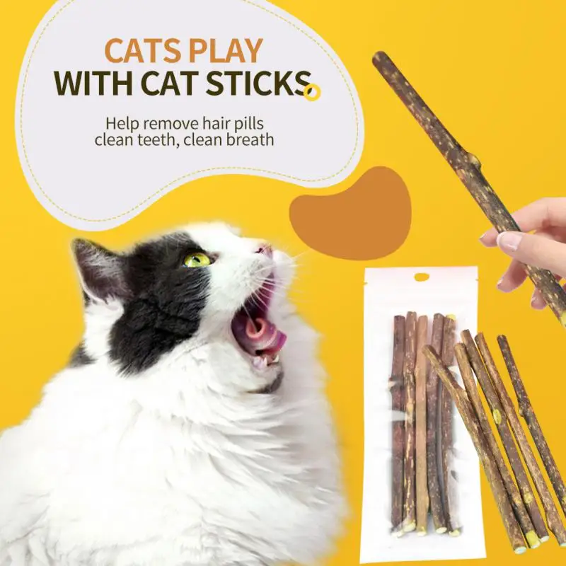 Natural Catnip Pet Cat Molar Toothpaste Stick Pet Cat Kitten Chew Toys Stick Fruit Matatabi Cat Snacks Sticks Pet Cleaning Teeth 1