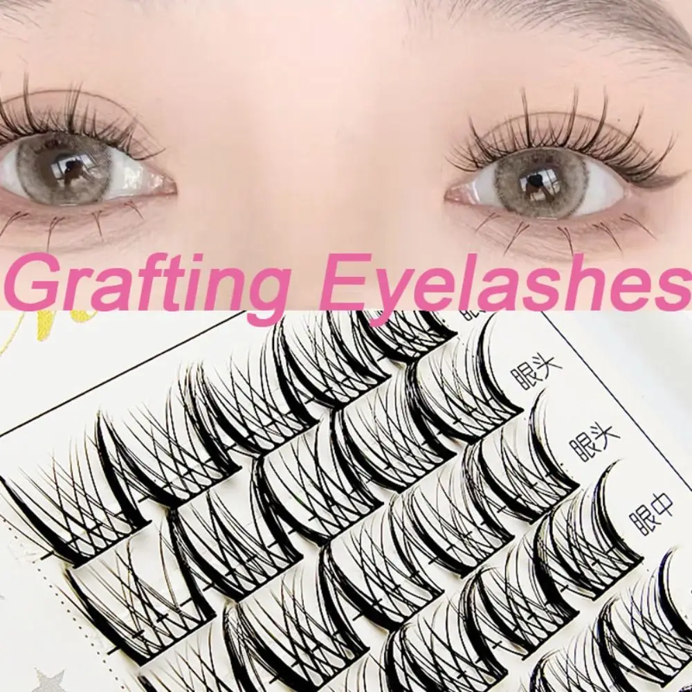  Ǹ ̽ Ӵ, ǳϰ ڿ ׸Ʈ Ӵ , ƽ Ӵ , ε巯  Ӵ ׷̵