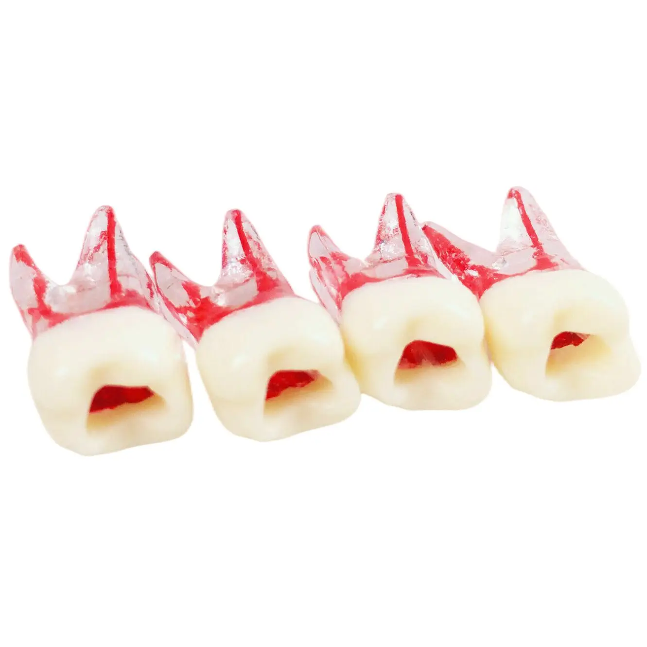 

Dental Endodontic Root Canal Teeth Study Model Endo Rotary Files Practice RCT Practice Training Blocks Pulp Cavity Resin Teeth