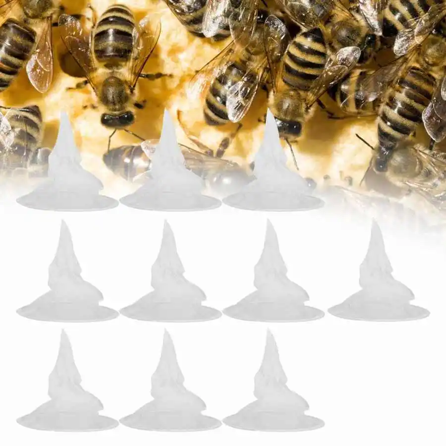 10Pcs Nylon Cone Honey Filter filtration Mesh Red Wine Residue Filtration Net Cloth Reptiles Living Box Beekeeping Equipme