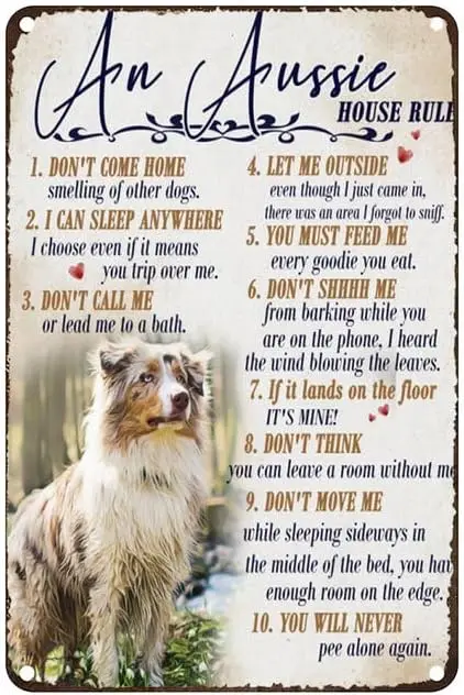 Винтажный металлический жестяной знак, правила австралийского дома, «Позвольте мне» на улице, деревенский настенный Декор для дома, спальни, бара, кафе, клуба, 8x12 дюймов
