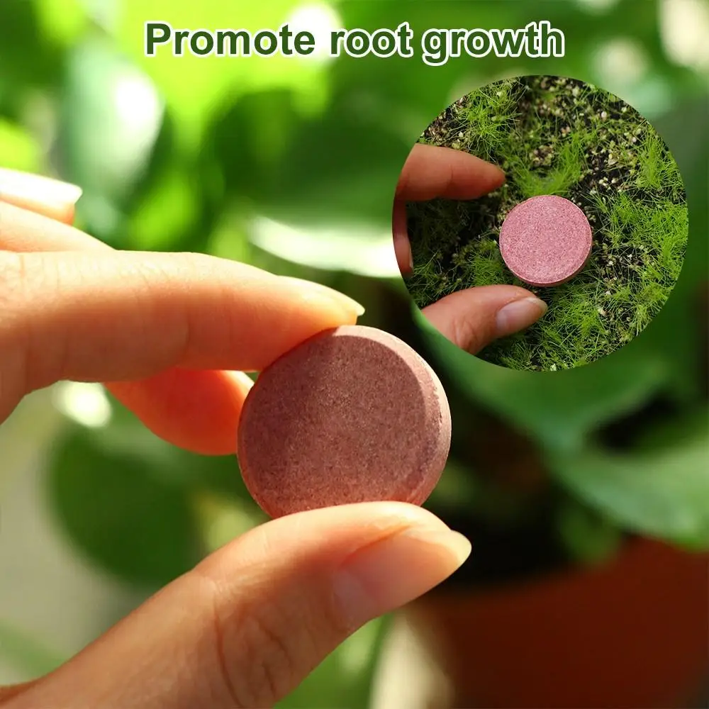 Description Picture 2 of itemUniversal Phosphorus Organic Fertilizer Potassium Speed Up Slow-Release Tablet Growth Plant Nutrition Tablets Plants Potted