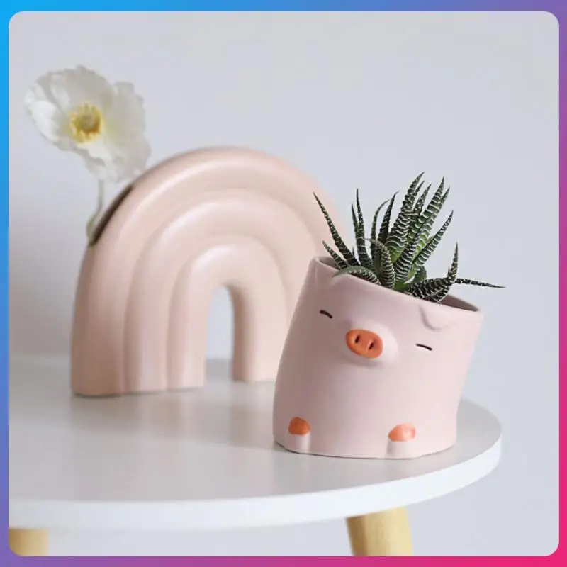 

Plant Small Flower Pot Creative Animal Cartoon Design Desktop Fleshy Ornaments Home Office Desktop Mini Fleshy Plant Flower Pots