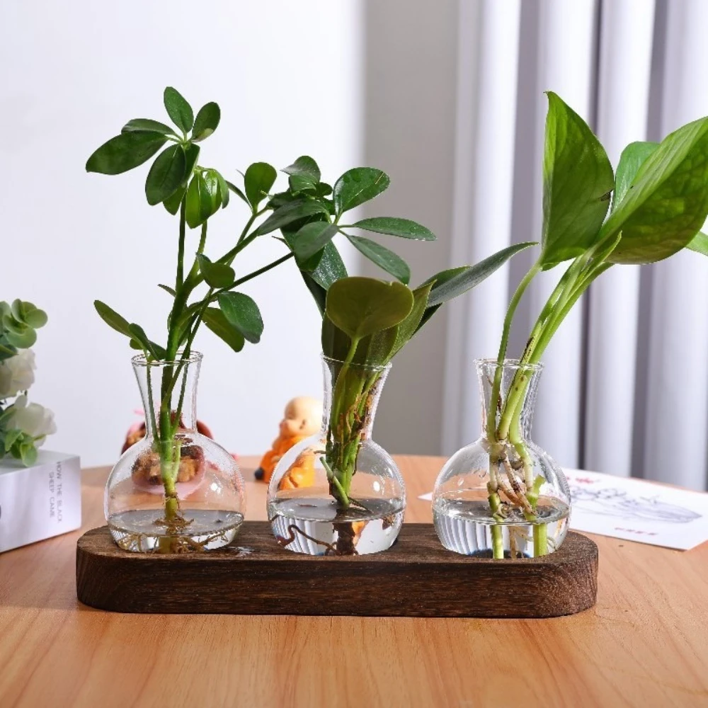 Modern Glass Terrarium with Wooden Tray - Decorative Desktop Plant Propagation Station & Home Decor Planter