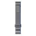 Blue Gray
